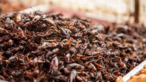 Подробнее о статье Ученые оценили, как потребление насекомых влияет на здоровье человека — новости медицины