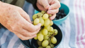 Подробнее о статье Потребление винограда полезно для здоровья глаз — ученые — новости медицины